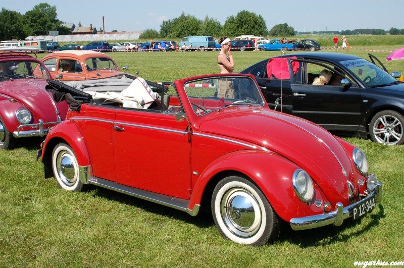 Bug Run - Szwecja – zdjęcie 22