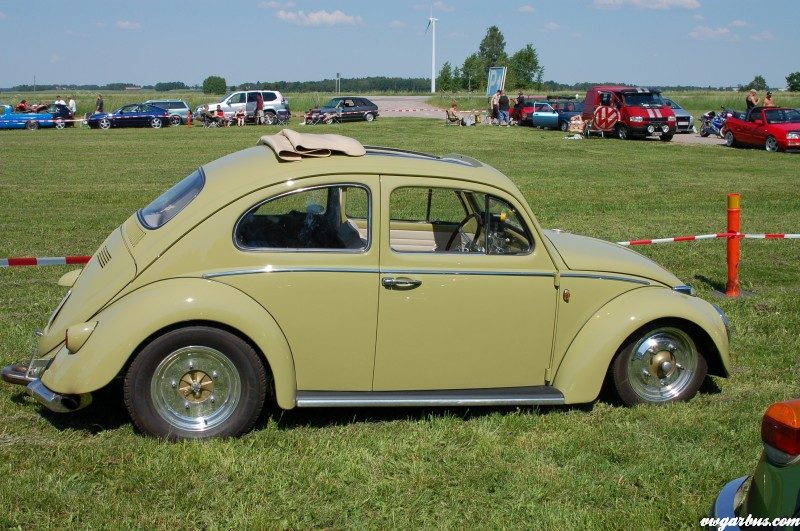 Bug Run - Szwecja – zdjęcie 26