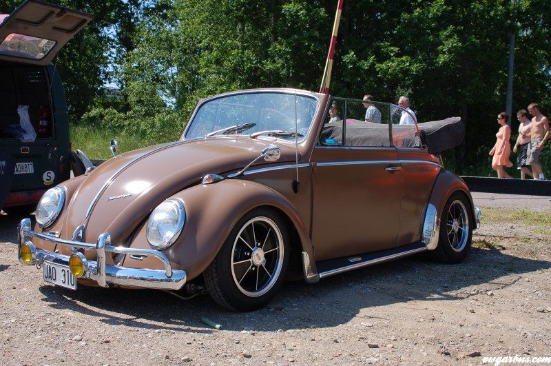 Bug Run - Szwecja – zdjęcie 61
