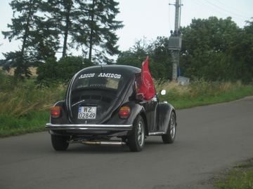 Zdjęcie 100
