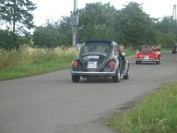 Zdjęcie 102
