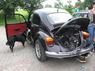 Zdjęcie 14