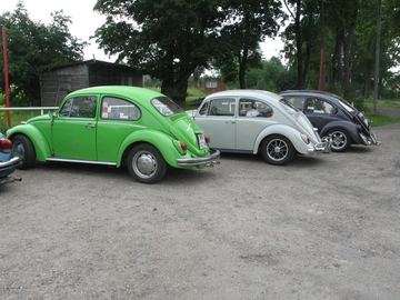 Zdjęcie 16