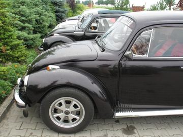Zdjęcie 29