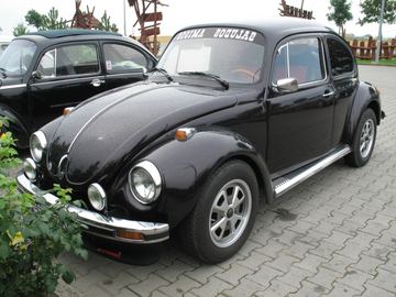 Zdjęcie 30