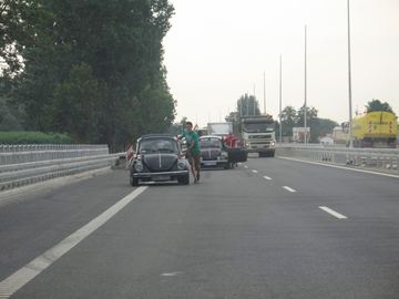 Zdjęcie 33