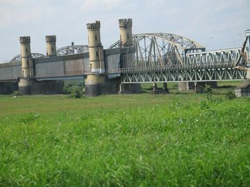 Zdjęcie 35