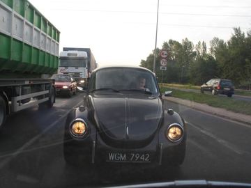 Zdjęcie 7