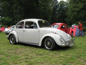 Zdjęcie 79