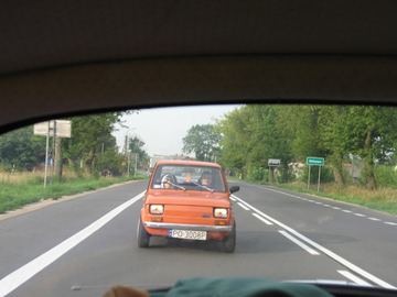 Zdjęcie 8