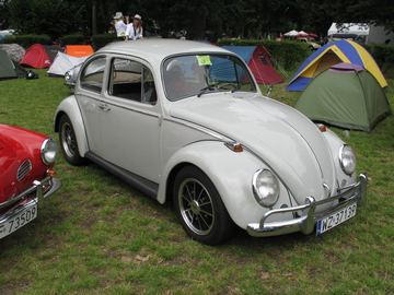 Zdjęcie 90