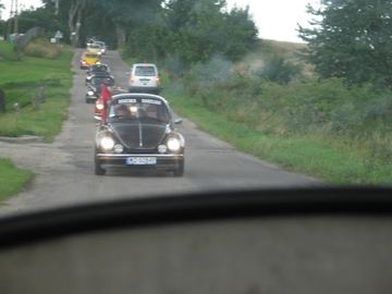 Zdjęcie 95