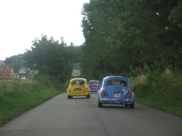 Zdjęcie 97