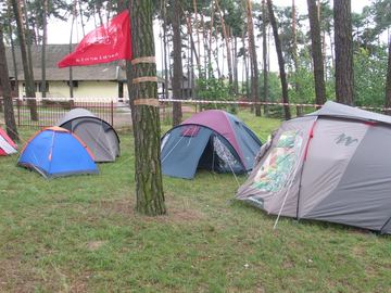 Zdjęcie 10