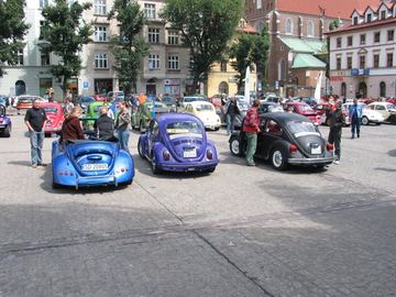 Zdjęcie 110