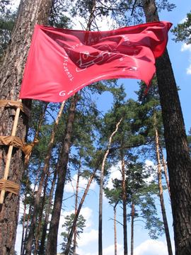Zdjęcie 153