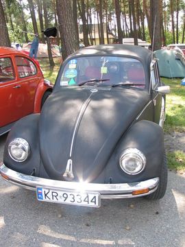 Zdjęcie 161