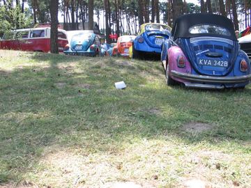 Zdjęcie 165