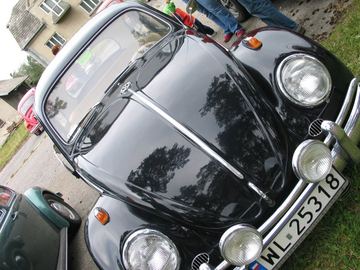 Zdjęcie 43