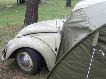 Zdjęcie 49
