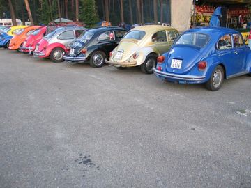 Zdjęcie 81