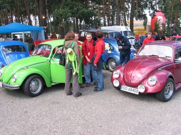 Zdjęcie 87