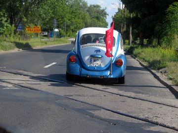 Zdjęcie 169