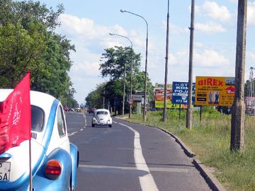 Zdjęcie 170