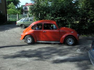 Zdjęcie 185