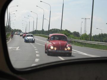 Zdjęcie 193
