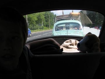 Zdjęcie 28