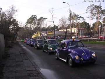 Zdjęcie 41