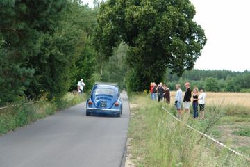 Zdjęcie 156