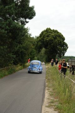 Zdjęcie 164