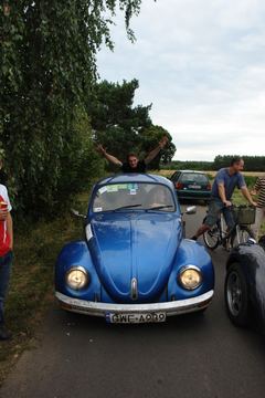 Zdjęcie 177