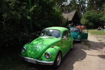 Zdjęcie 260
