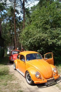 Zdjęcie 261