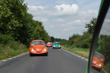 Zdjęcie 264