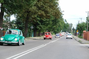 Zdjęcie 265
