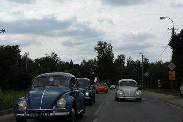 Zdjęcie 280