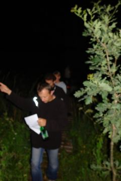 Zdjęcie 33