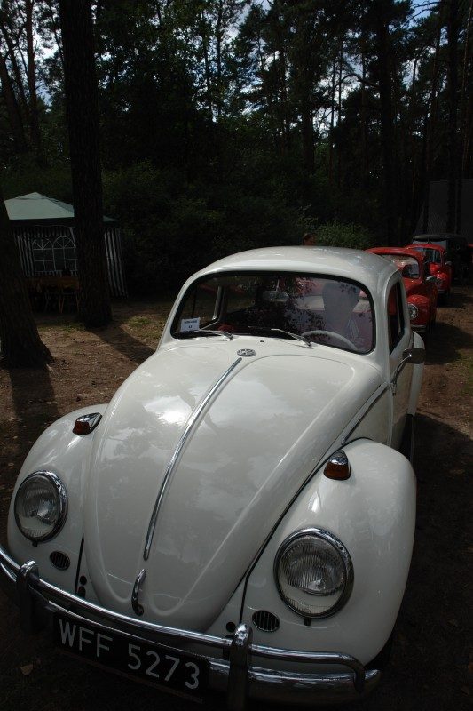 Monte Garbo 2007 – zdjęcie 94