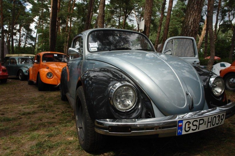 Monte Garbo 2007 – zdjęcie 97