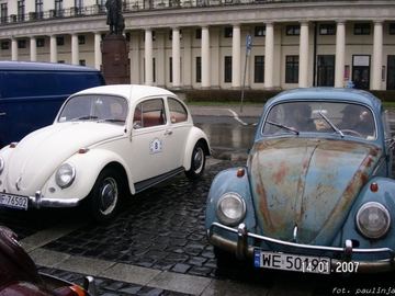 Zdjęcie 110