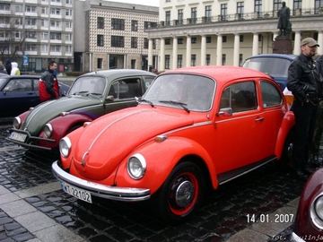 Zdjęcie 111