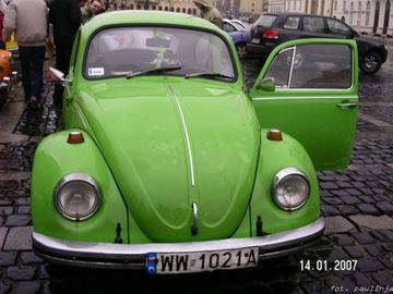Zdjęcie 116