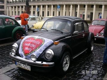 Zdjęcie 118