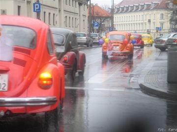 Zdjęcie 14