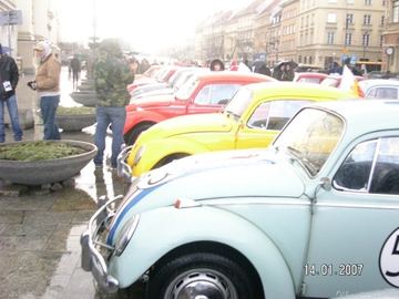 Zdjęcie 152