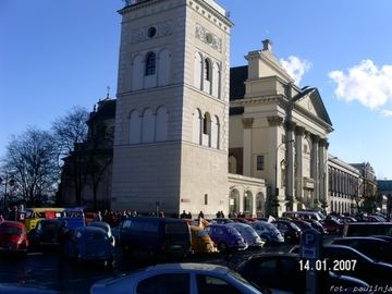 Zdjęcie 185